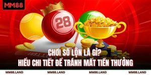 Chơi Số Lộn Là Gì