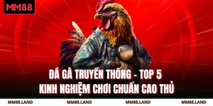 Đá Gà Truyền Thống