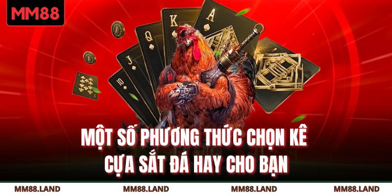 Một số phương thức chọn kê cựa sắt đá hay cho bạn