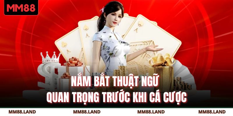 Nắm bắt thuật ngữ quan trọng trước khi cá cược