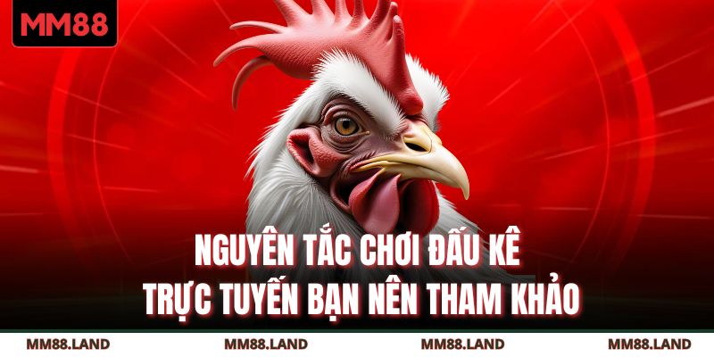 Nguyên tắc chơi đấu kê trực tuyến bạn nên tham khảo