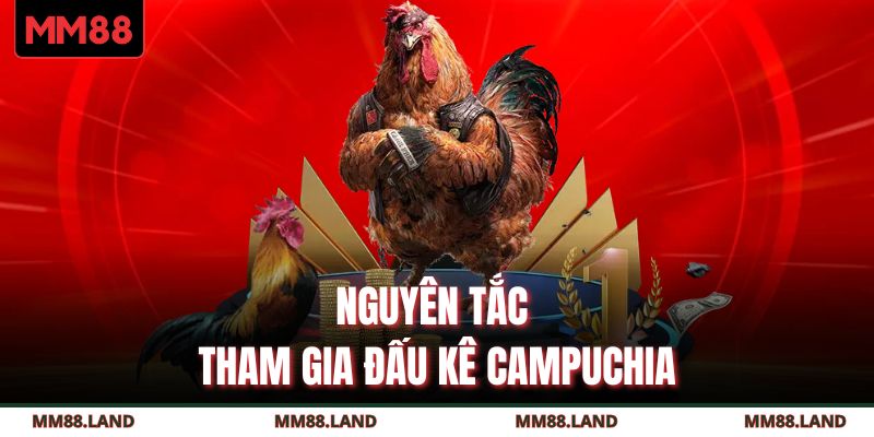 Nguyên tắc tham gia đấu kê Campuchia